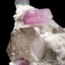 Tourmaline on Albite With Quartz - image 4