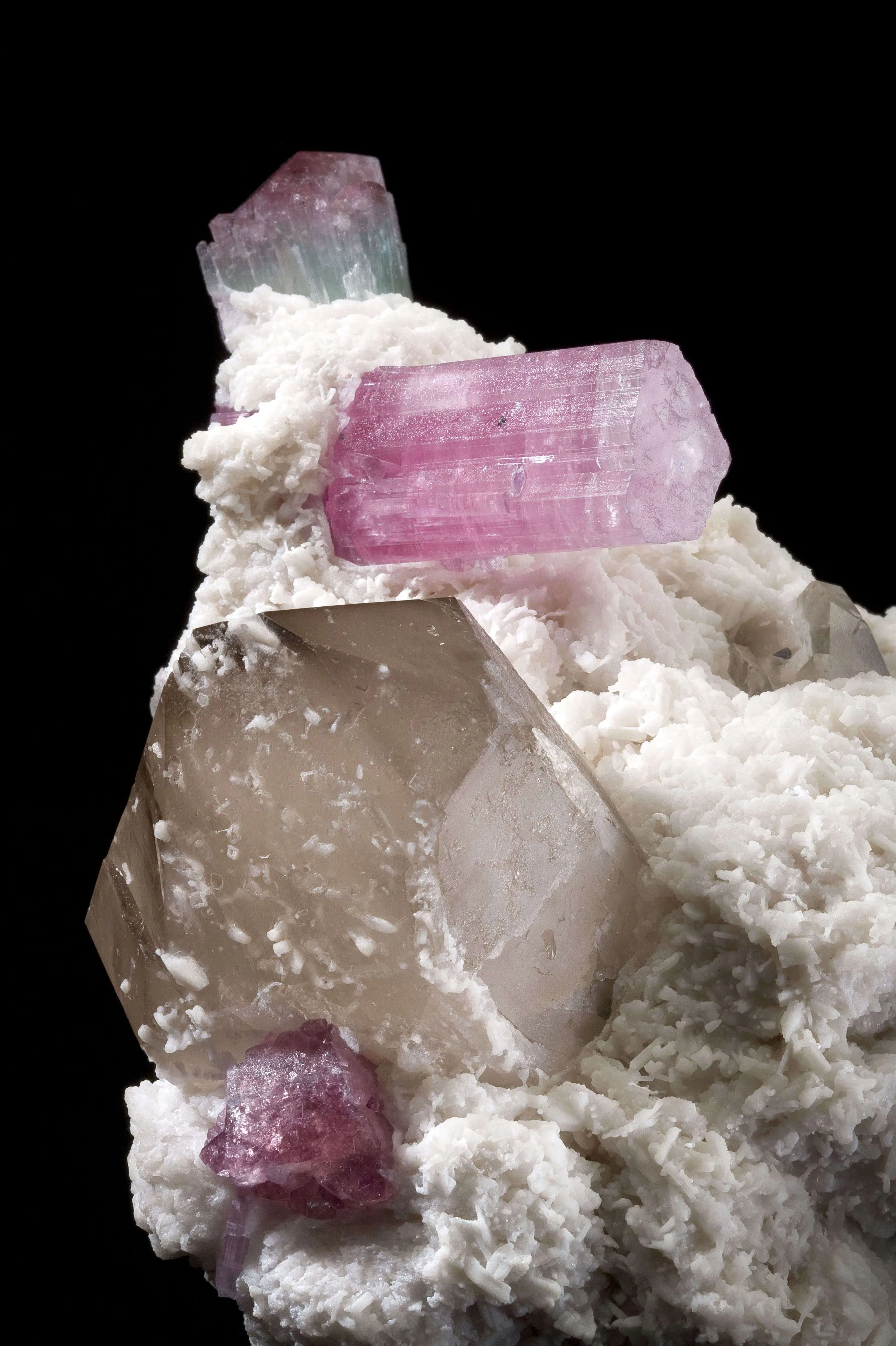 Tourmaline on Albite With Quartz - image 4