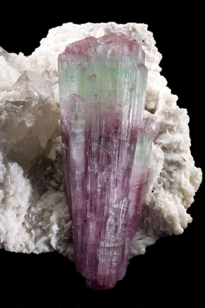 Tourmaline on Albite With Quartz - image 5