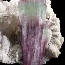Tourmaline on Albite With Quartz - image 5