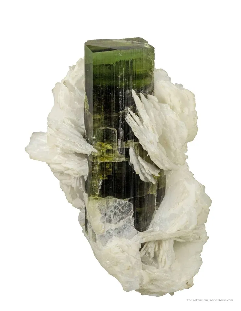 Tourmaline on Cleavelandite image