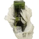 Tourmaline on Cleavelandite - image 1