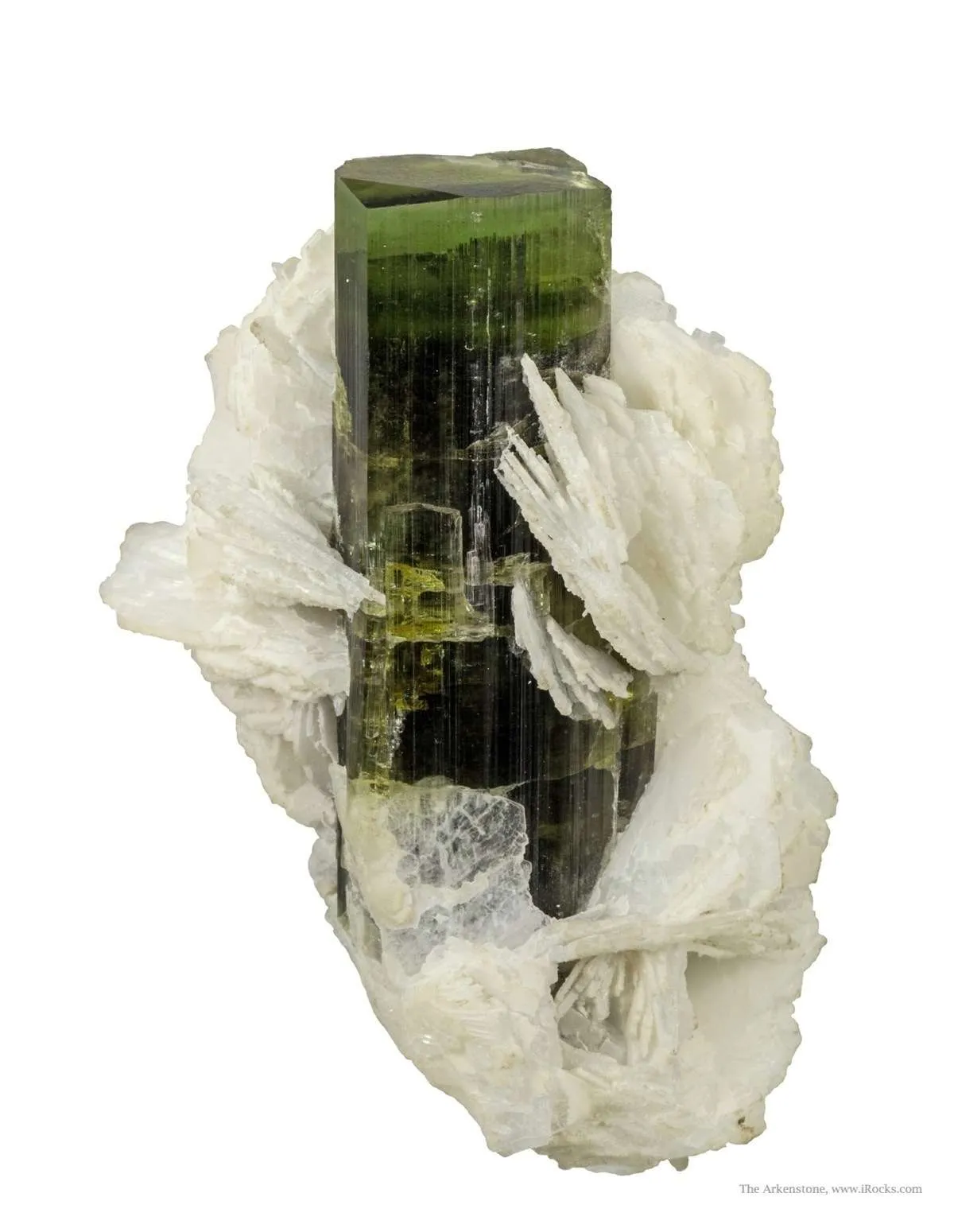 Tourmaline on Cleavelandite - image 1