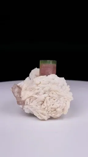 specimen video