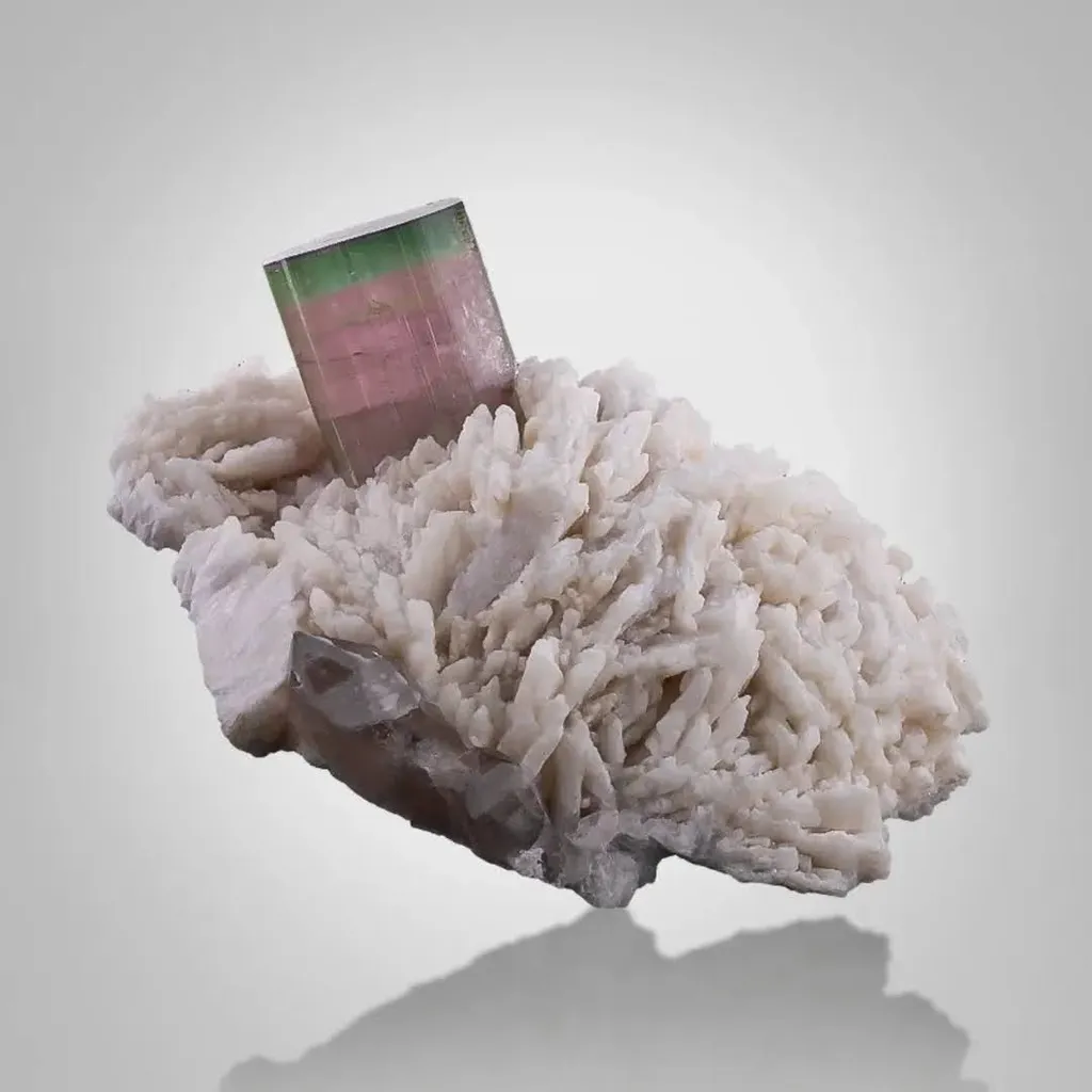 Tourmaline on Cleavelandite - image 2