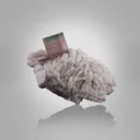 Tourmaline on Cleavelandite - image 3