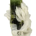Tourmaline on Cleavelandite - image 4