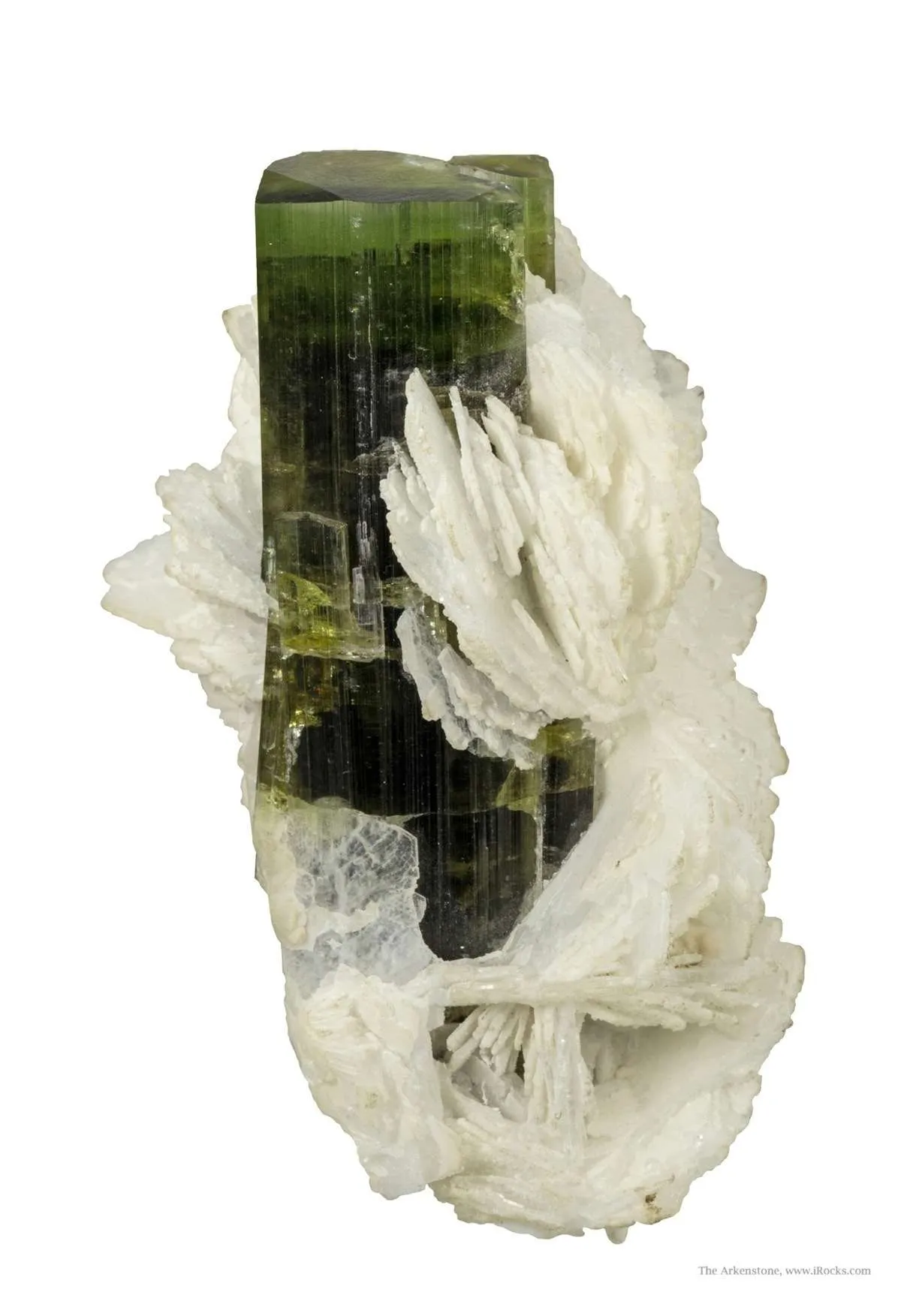 Tourmaline on Cleavelandite - image 4