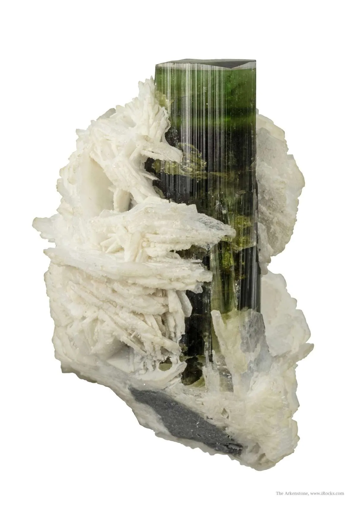 Tourmaline on Cleavelandite - image 3