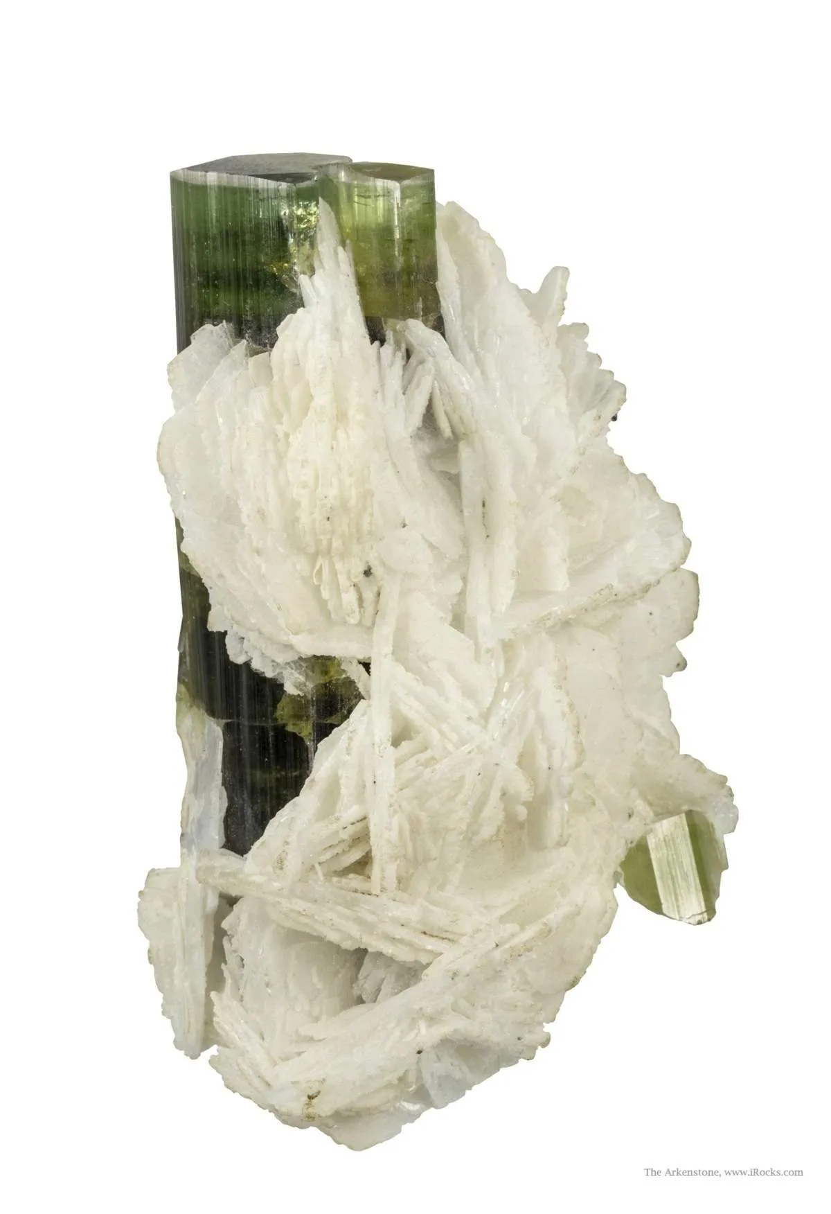 Tourmaline on Cleavelandite - image 2