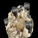 Tourmaline on Cleavelandite With Quartz, The Six-Pack - image 2