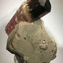 Tourmaline on Feldspar - image 4