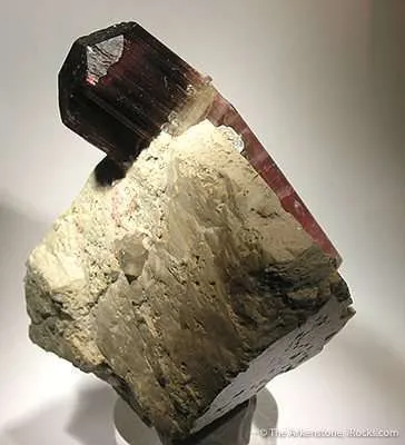 Tourmaline on Feldspar - image 3