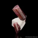 Tourmaline on Feldspar - image 1