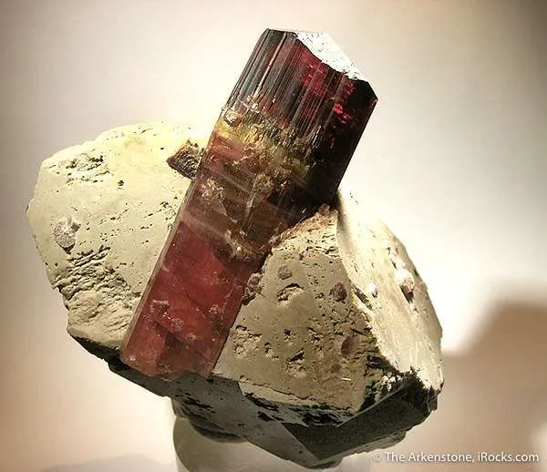 Tourmaline on Feldspar - image 2