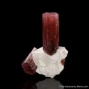 Tourmaline on Feldspar - image 4