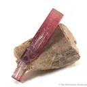 Tourmaline on Feldspar - image 1