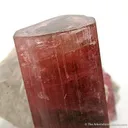 Tourmaline on Feldspar - image 2