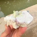 specimen video