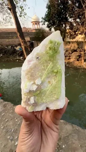 specimen video