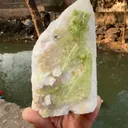 specimen video