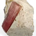 Tourmaline on Feldspar (Twinned) - image 2