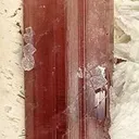 Tourmaline on Feldspar (Twinned) With Cleavelandite - image 3