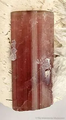 Tourmaline on Feldspar (Twinned) With Cleavelandite - image 3
