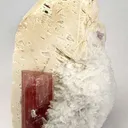 Tourmaline on Feldspar (Twinned) With Cleavelandite - image 2