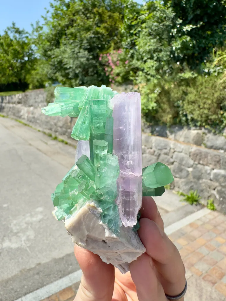 Tourmaline on Kunzite image