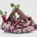 Tourmaline on Lepidolite - image 1