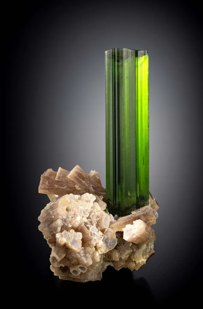 Tourmaline on Lepidolite image