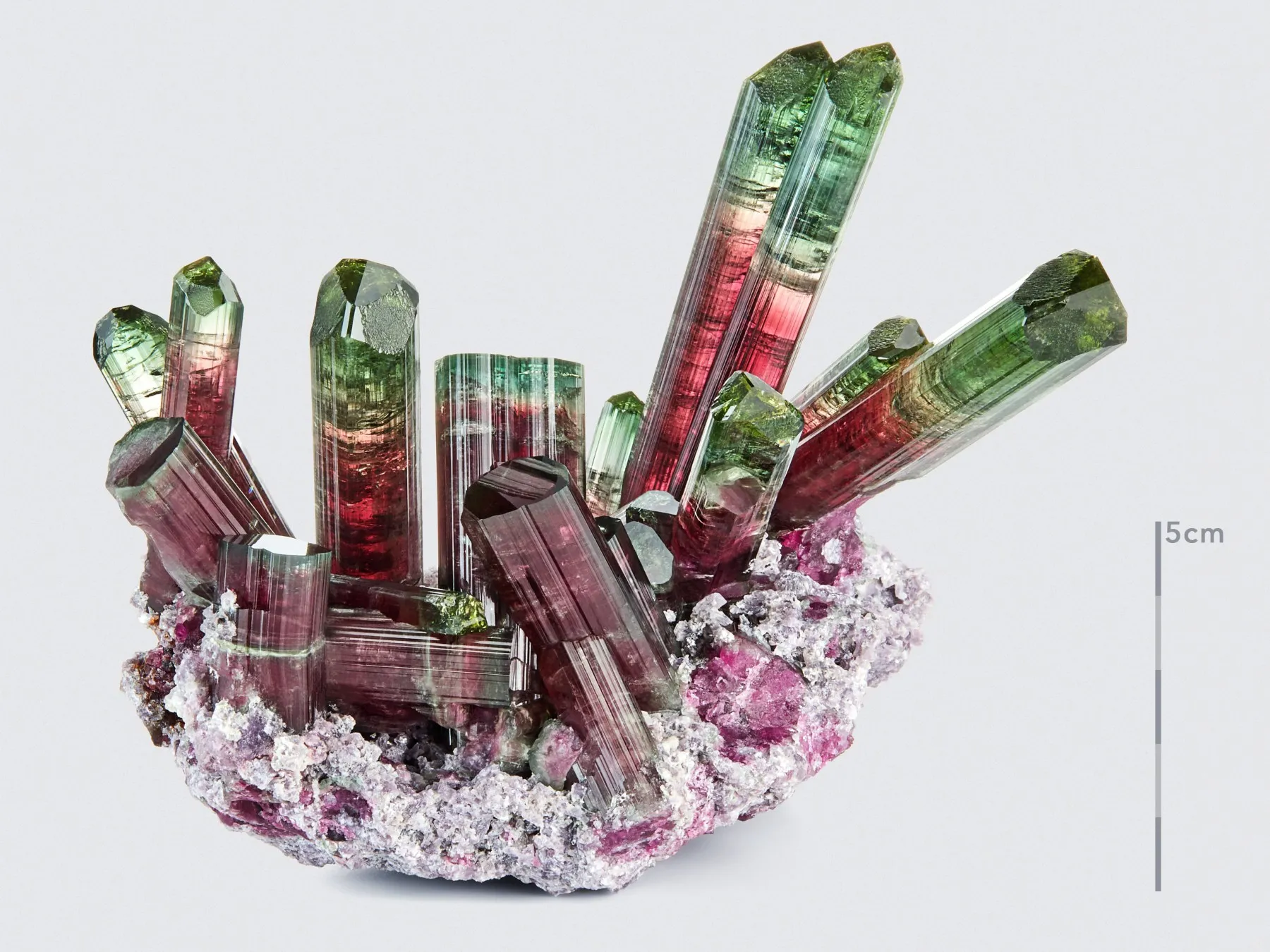 Tourmaline on Lepidolite - image 3