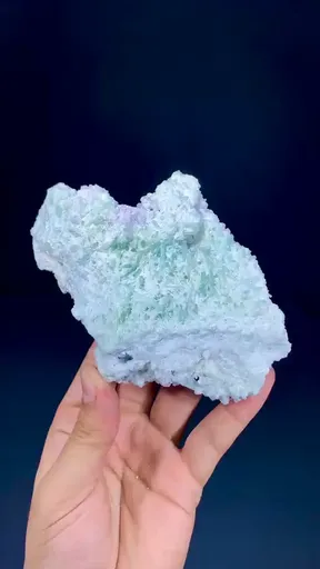 specimen video