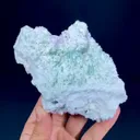 specimen video