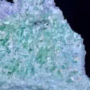 Tourmaline on Lepidolite from Afghanistan - image 3