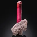 Tourmaline on Lepidolite (Jonas Mine, 1978 Pocket) - image 1