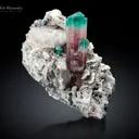 Tourmaline on Matrix from Laghman Afghanistan - image 1