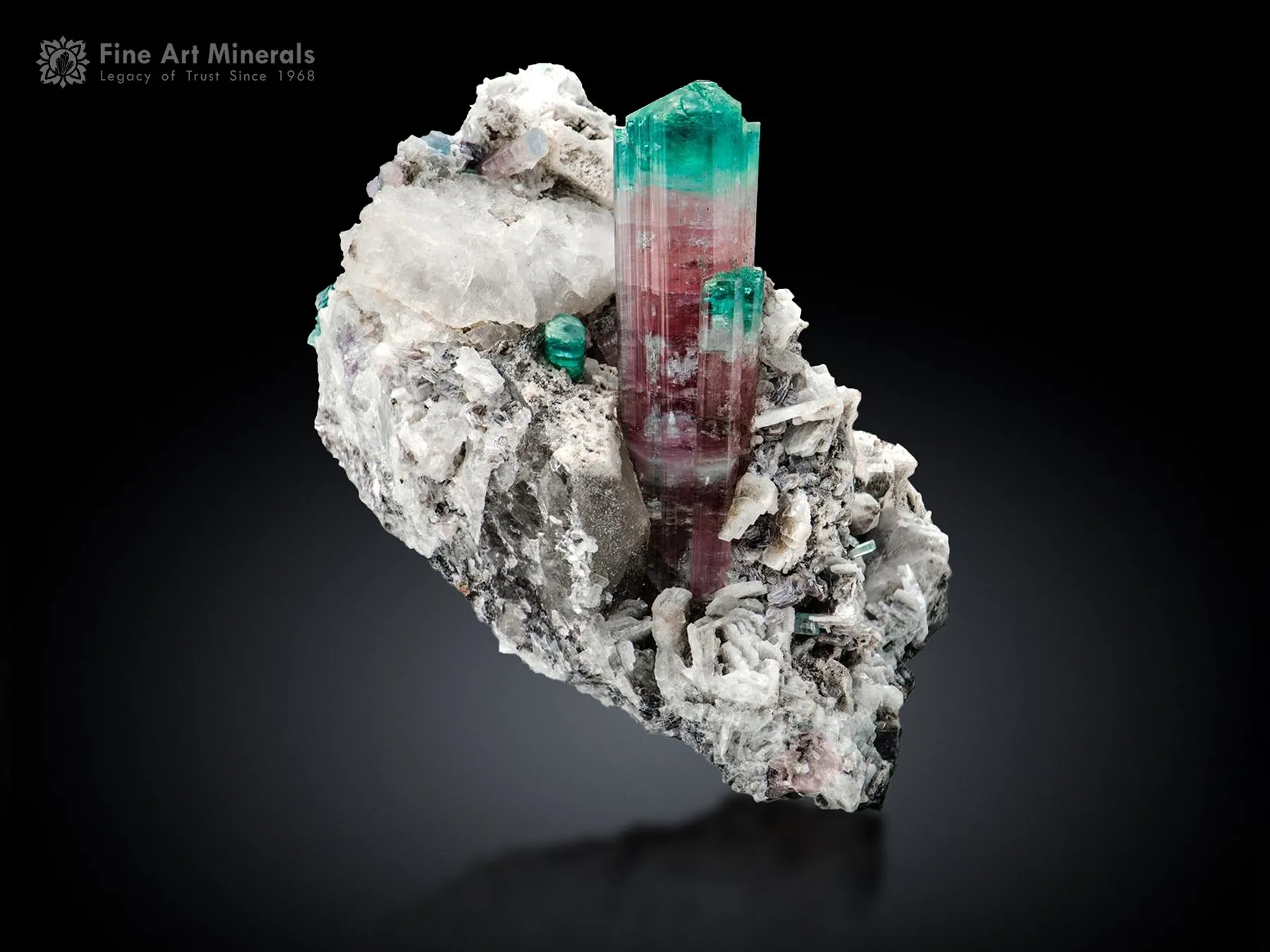 Tourmaline on Matrix from Laghman Afghanistan - image 1
