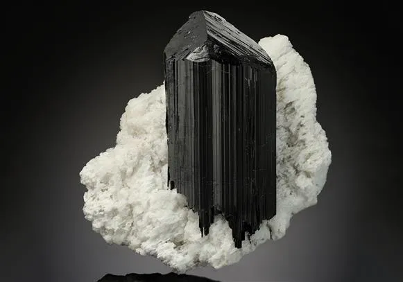 Tourmaline on Microcline image