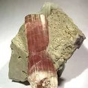 Tourmaline on Microcline - image 2