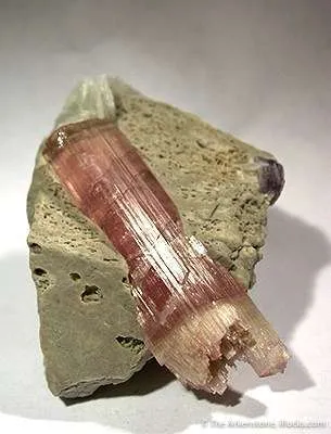 Tourmaline on Microcline - image 1