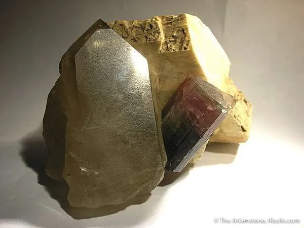 Tourmaline on Microline and Quartz image