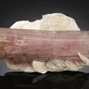 Tourmaline on Muscovite - image 1