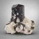 Tourmaline on Muscovite - image 3