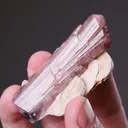 Tourmaline on Muscovite - image 2