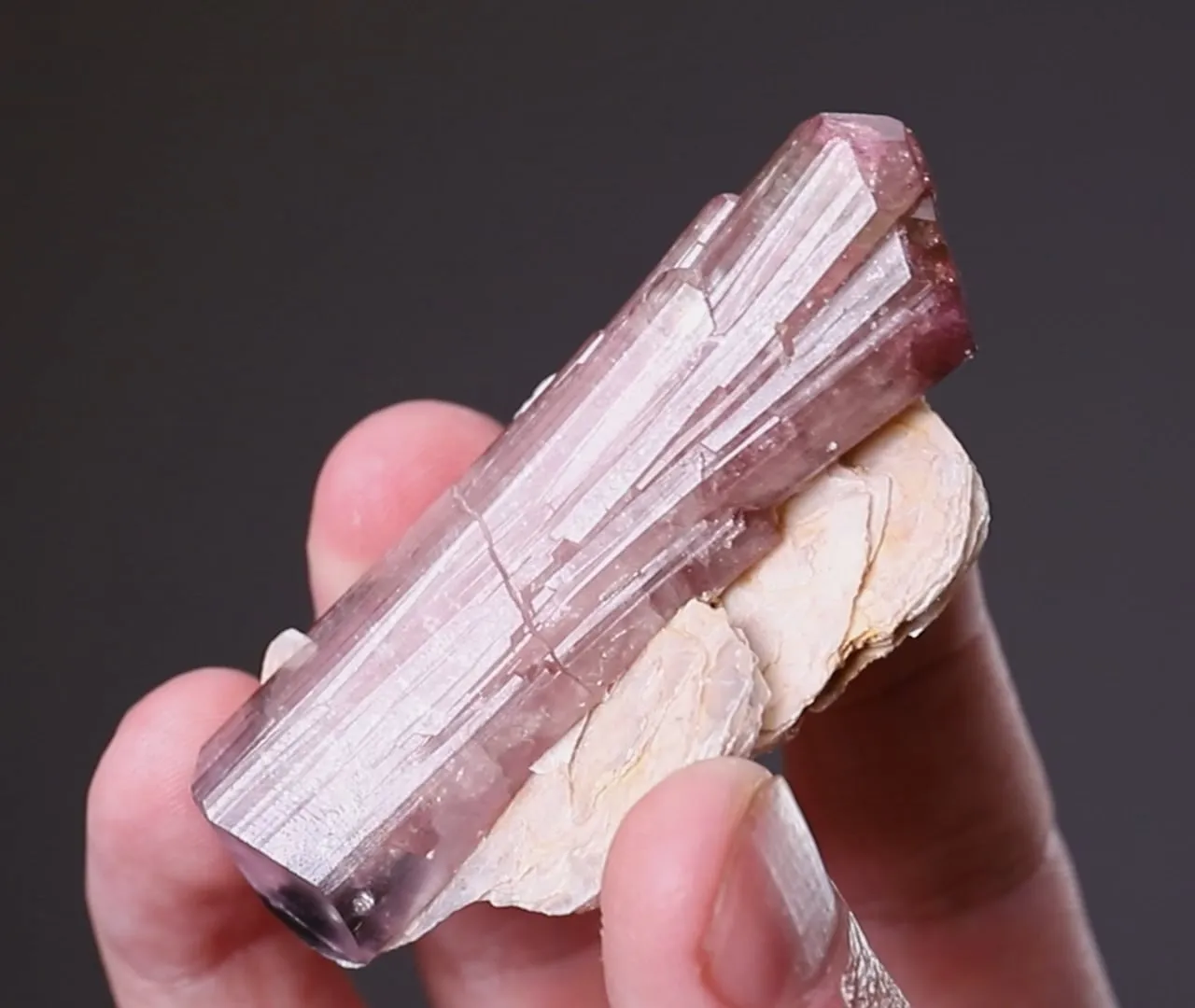 Tourmaline on Muscovite - image 2