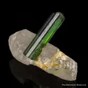 Tourmaline on Quartz - image 2