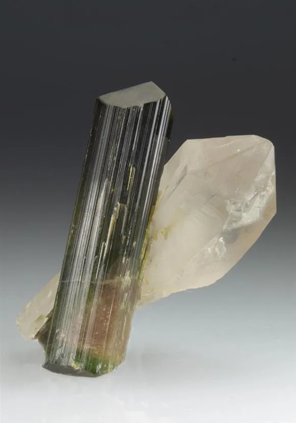 Tourmaline on Quartz image