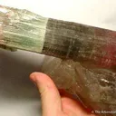 Tourmaline on Quartz - image 4